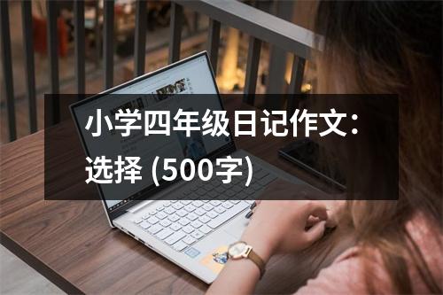 小學四年級日記作文：選擇 (500字)