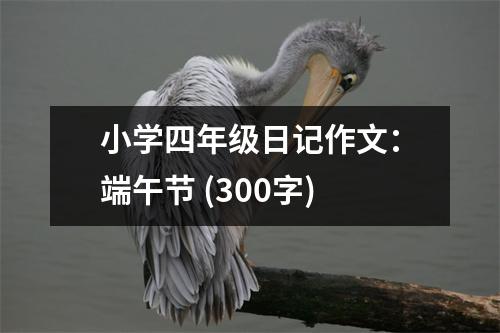 小學(xué)四年級日記作文：端午節(jié) (300字)