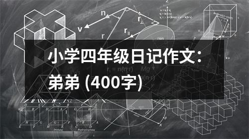 小學(xué)四年級日記作文：弟弟 (400字)