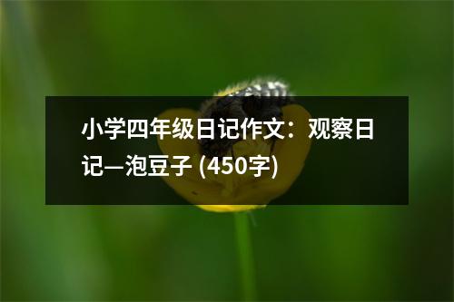 小學(xué)四年級日記作文：觀察日記—泡豆子 (450字)