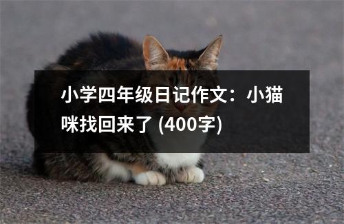 小學(xué)四年級日記作文：小貓咪找回來了 (400字)