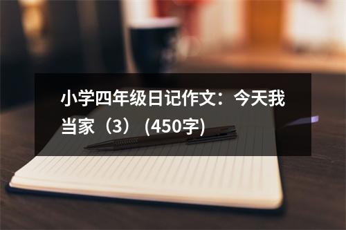 小學(xué)四年級日記作文：今天我當(dāng)家（3） (450字)