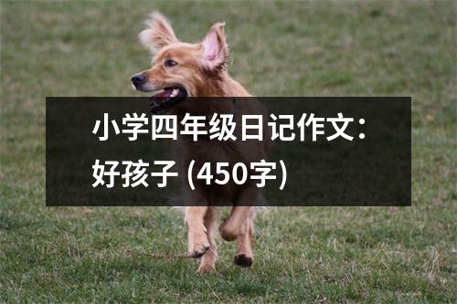 小學(xué)四年級日記作文：好孩子 (450字)