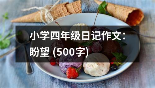 小學(xué)四年級日記作文：盼望 (500字)