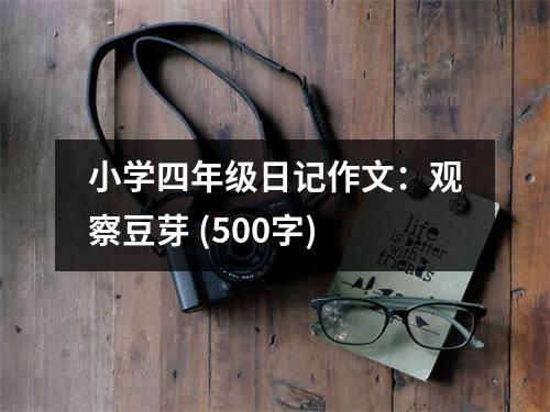 小學(xué)四年級(jí)日記作文：觀察豆芽 (500字)