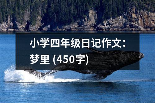 小學(xué)四年級(jí)日記作文：夢(mèng)里 (450字)