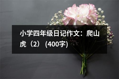 小學(xué)四年級(jí)日記作文：爬山虎（2） (400字)