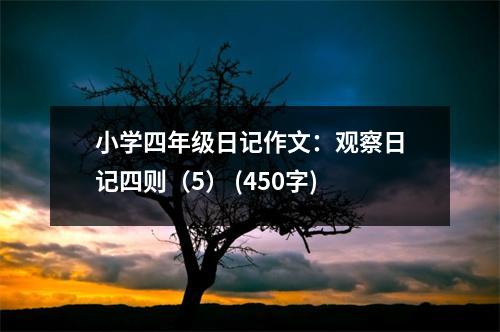 小學(xué)四年級(jí)日記作文：觀察日記四則（5） (450字)