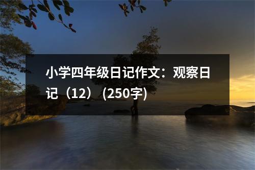 小學(xué)四年級日記作文：觀察日記（12） (250字)