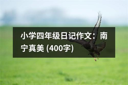 小學(xué)四年級(jí)日記作文：南寧真美 (400字)