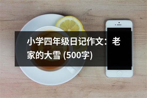 小學(xué)四年級(jí)日記作文：老家的大雪 (500字)