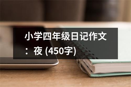 小學四年級日記作文：夜 (450字)