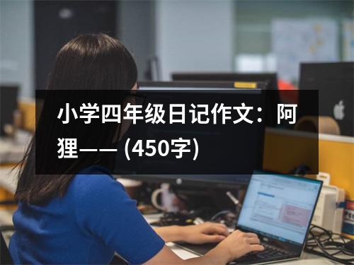 小學(xué)四年級(jí)日記作文：阿貍—— (450字)