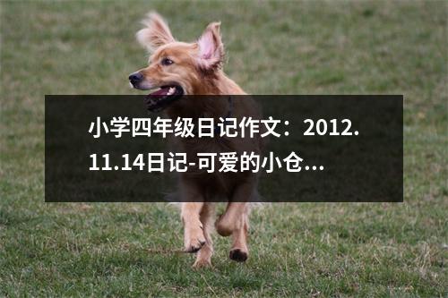 小學(xué)四年級(jí)日記作文：2012.11.14日記-可愛(ài)的小倉(cāng)鼠 (400字)