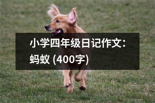 小學(xué)四年級日記作文：螞蟻 (400字)