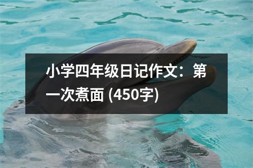 小學(xué)四年級日記作文：第一次煮面 (450字)