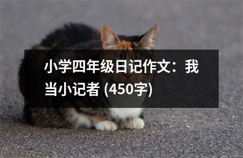 小學(xué)四年級日記作文：我當(dāng)小記者 (450字)