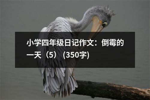 小學四年級日記作文：倒霉的一天（5） (350字)