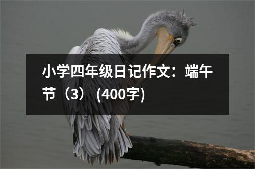 小學四年級日記作文：端午節(jié)（3） (400字)