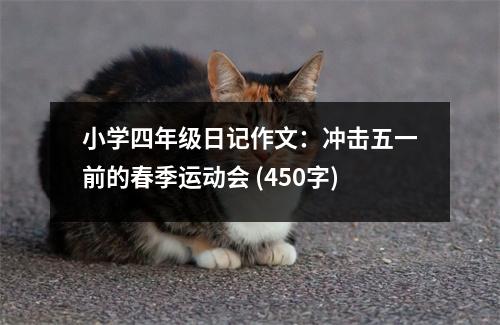 小學四年級日記作文：沖擊五一前的春季運動會 (450字)