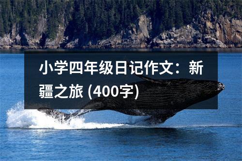 小學(xué)四年級(jí)日記作文：新疆之旅 (400字)