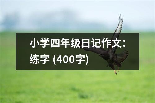 小學(xué)四年級(jí)日記作文：練字 (400字)