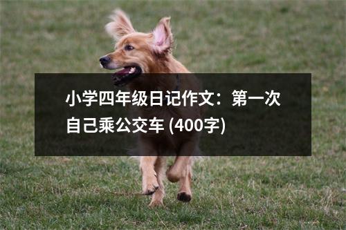 小學(xué)四年級日記作文：第一次自己乘公交車 (400字)