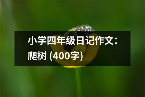 小學(xué)四年級日記作文：爬樹 (400字)