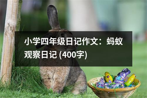 小學(xué)四年級日記作文：螞蟻觀察日記 (400字)