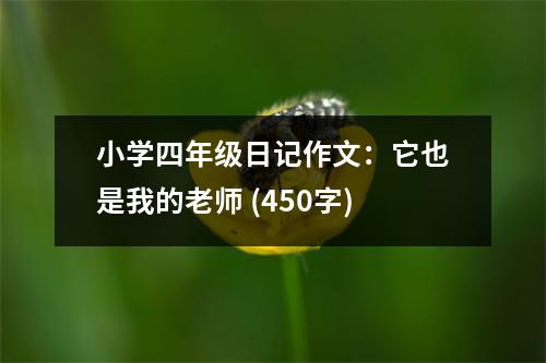 小學(xué)四年級日記作文：它也是我的老師 (450字)