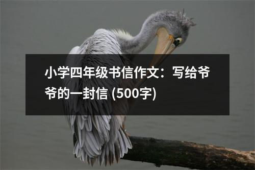 小學(xué)四年級書信作文：寫給爺爺?shù)囊环庑?(500字)