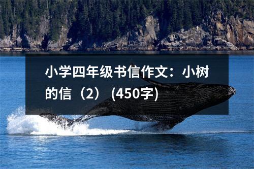 小學(xué)四年級(jí)書(shū)信作文：小樹(shù)的信（2） (450字)