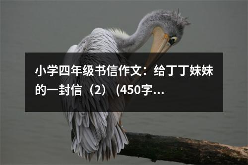 小學(xué)四年級(jí)書信作文：給丁丁妹妹的一封信（2） (450字)