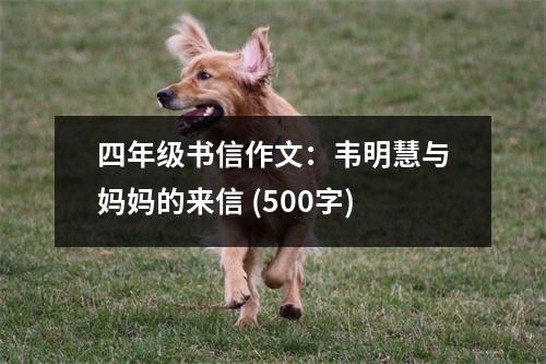 四年級(jí)書(shū)信作文：韋明慧與媽媽的來(lái)信 (500字)
