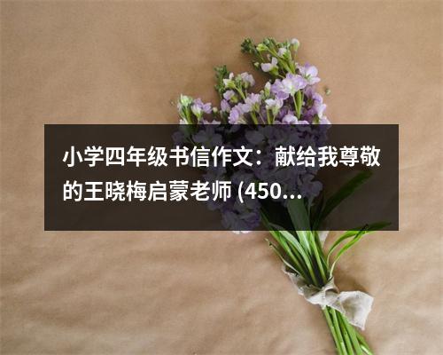 小學(xué)四年級(jí)書信作文：獻(xiàn)給我尊敬的王曉梅啟蒙老師 (450字)
