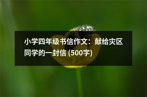 小學四年級書信作文：獻給災區(qū)同學的一封信 (500字)