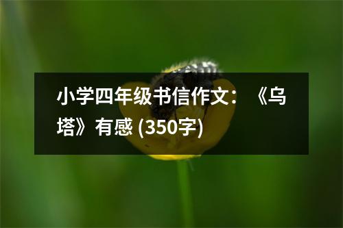 小學(xué)四年級書信作文：《烏塔》有感 (350字)