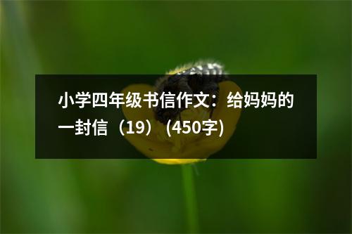 小學(xué)四年級書信作文：給媽媽的一封信（19） (450字)