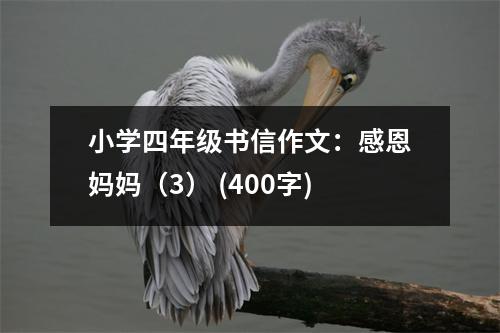 小學四年級書信作文：感恩媽媽（3） (400字)