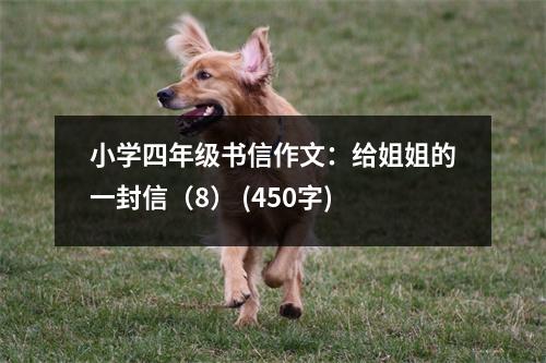 小學四年級書信作文：給姐姐的一封信（8） (450字)
