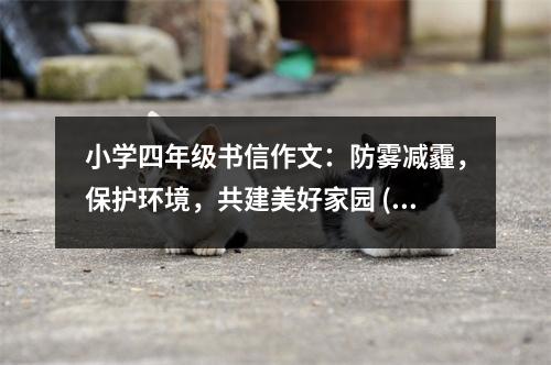 小學(xué)四年級書信作文：防霧減霾，保護(hù)環(huán)境，共建美好家園 (400字)
