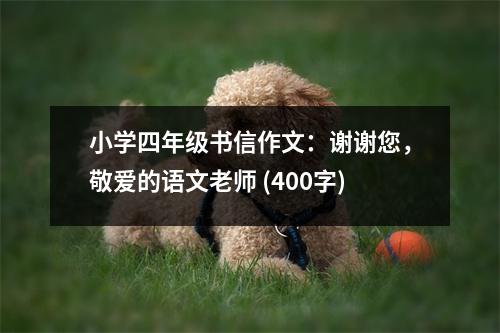 小學四年級書信作文：謝謝您，敬愛的語文老師 (400字)