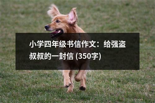 小學(xué)四年級(jí)書(shū)信作文：給強(qiáng)盜叔叔的一封信 (350字)