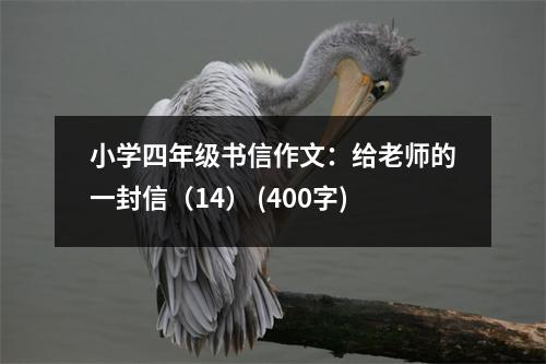 小學四年級書信作文：給老師的一封信（14） (400字)