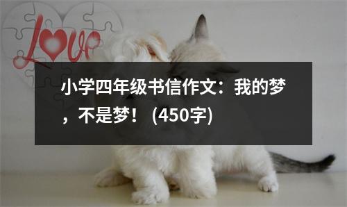 小學(xué)四年級書信作文：我的夢，不是夢！ (450字)