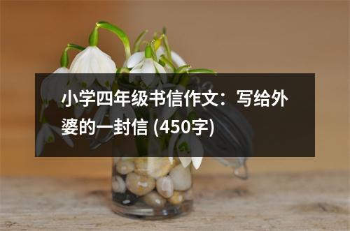 小學(xué)四年級書信作文：寫給外婆的一封信 (450字)