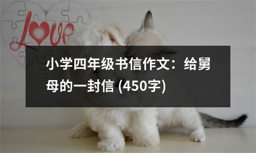 小學(xué)四年級(jí)書(shū)信作文：給舅母的一封信 (450字)
