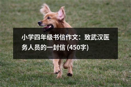 小學(xué)四年級(jí)書(shū)信作文：致武漢醫(yī)務(wù)人員的一封信 (450字)