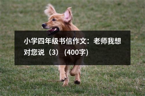 小學(xué)四年級(jí)書信作文：老師我想對您說（3） (400字)