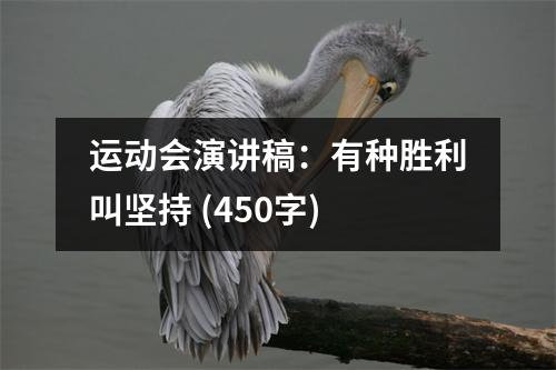 運(yùn)動會演講稿：有種勝利叫堅持 (450字)